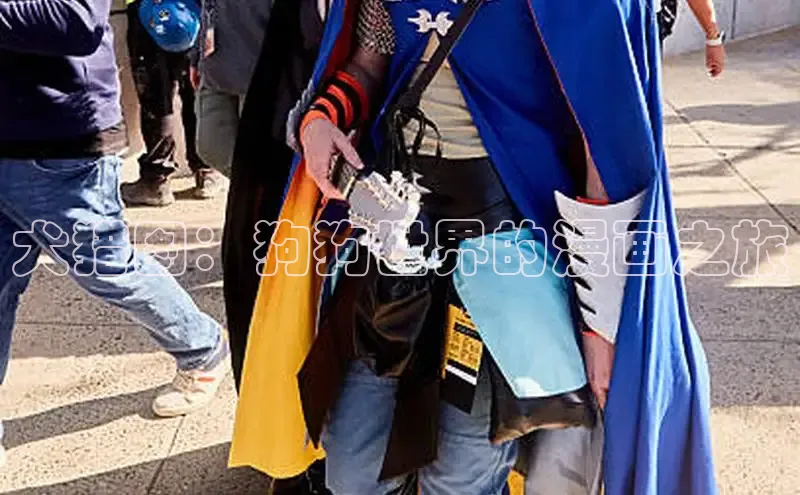 风车漫画网页版