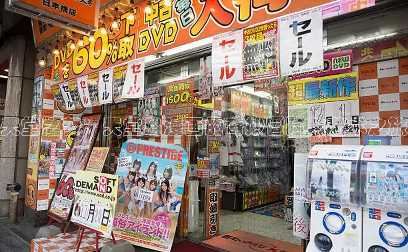 风车漫画官网免费进入